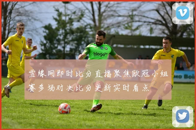 雪缘网即时比分直播聚焦欧冠小组赛多场对决比分更新实时看点
